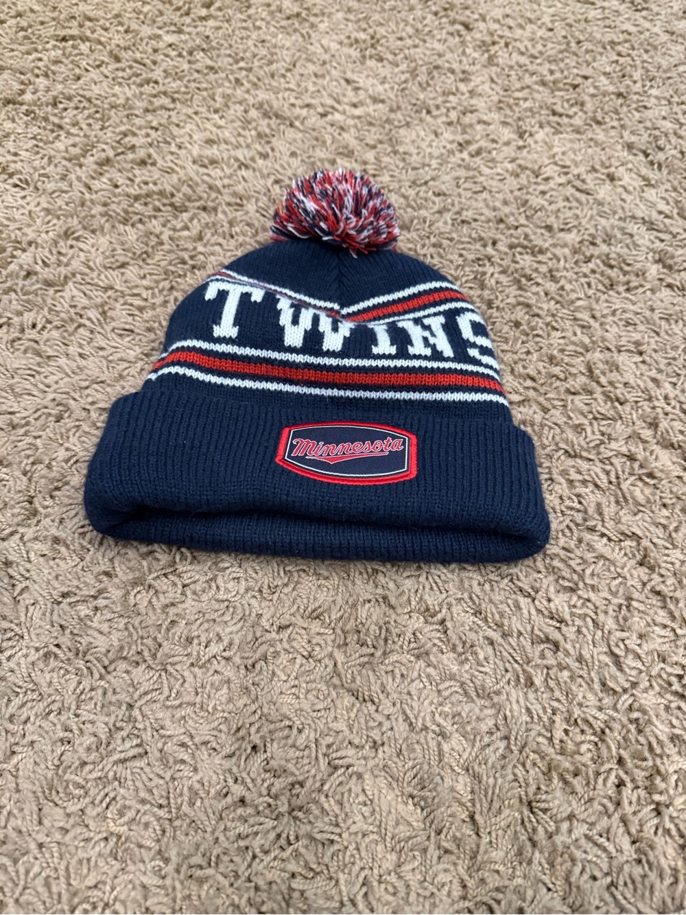 Youth Minnesota Twins winter hat